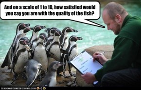 And on a scale of 1 to 10, how satisfied would you say you are with the quality of the fish?
