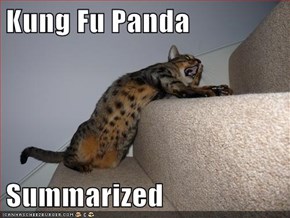 Kung Fu Panda  Summarized