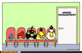 Nobody Wants to Play "Has Rage Issues But Is Coping With It" Birds