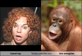 Carrot top Totally Looks Like this orangutan