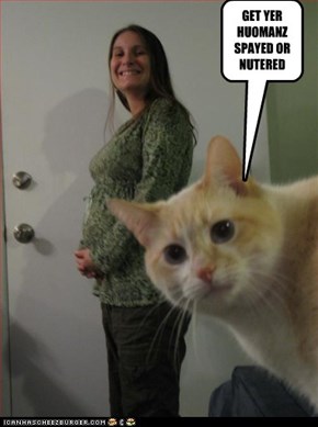 GET YER HUOMANZ SPAYED OR NUTERED