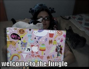 welcome to the Jungle