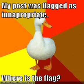 My post was flagged as innapropriate.  Where is the flag?