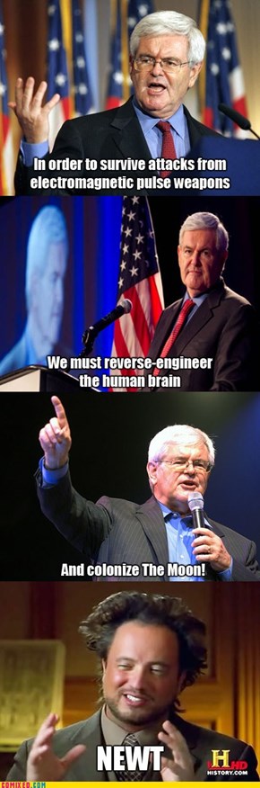 F***ing Gingrich, How Does He Work?