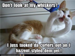 Don't  look  at  my  whiskers !