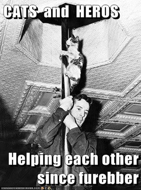 CATS  and  HEROS  Helping each other since furebber