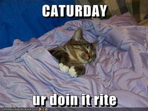 CATURDAY  ur doin it rite