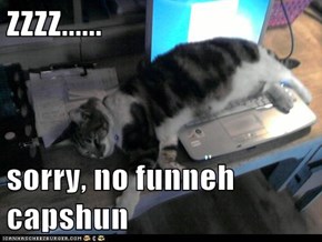 ZZZZ......  sorry, no funneh capshun