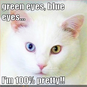 green eyes, blue eyes...  I'm 100% pretty!!
