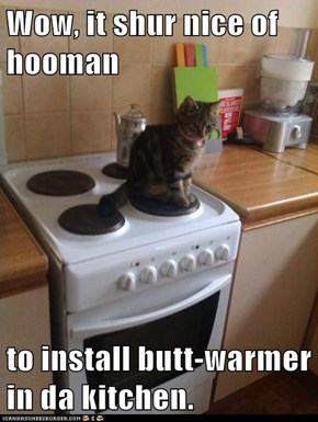 Wow, it shur nice of hooman  to install butt-warmer in da kitchen.