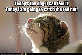 Think positive, lil' kitteh