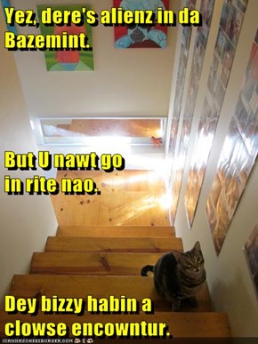 Yez, dere's alienz in da Bazemint.  But U nawt go                                 in rite nao.  Dey bizzy habin a                     clowse encowntur.