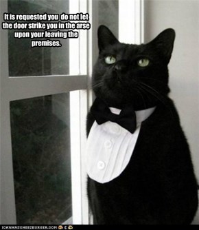 Lolcats: It is requested