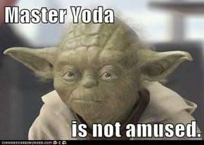 Master Yoda  is not amused.