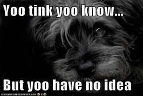 Yoo tink yoo know...  But yoo have no idea