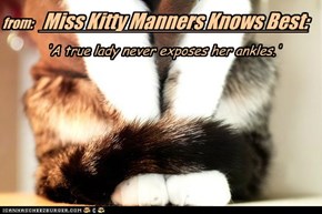 Miss Kitty Manners Knows Best: