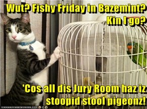 Wut? Fishy Friday in Bazemint? Kin I go?  'Cos all dis Jury Room haz iz stoopid stool pigeonz!
