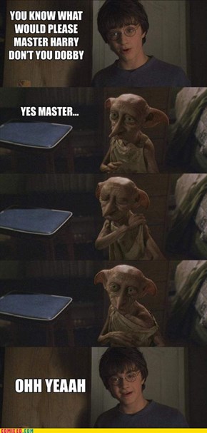 Dobby's Pleasure