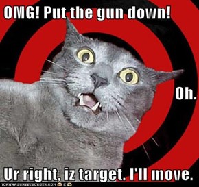 OMG! Put the gun down! Oh. Ur right, iz target. I'll move.