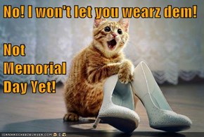 No! I won't let you wearz dem! Not                                               Memorial                                                  Day Yet!