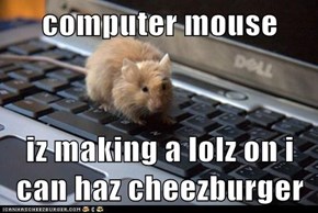 computer mouse   iz making a lolz on i can haz cheezburger
