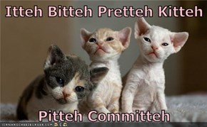 Itteh Bitteh Pretteh Kitteh  Pitteh Committeh