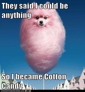 They said I could be anything  So I became Cotton Candy