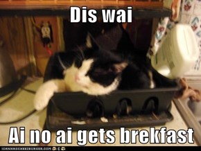 Dis wai  Ai no ai gets brekfast