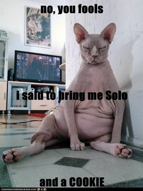 no, you fools