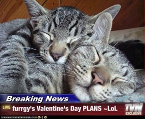 Breaking News - furrgy's Valentine's Day PLANS ~LoL