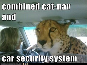 combined cat-nav and  car security system