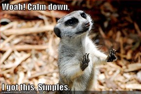 Woah! Calm down,  I got this. Simples.