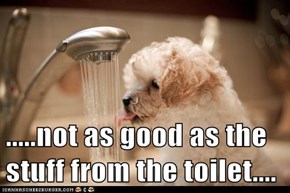.....not as good as the stuff from the toilet....