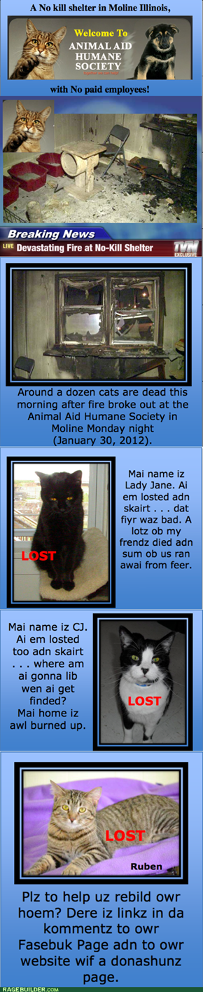 They needz owr help!