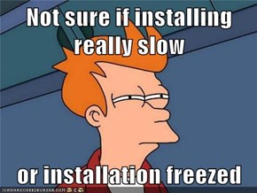 Not sure if installing really slow  or installation freezed