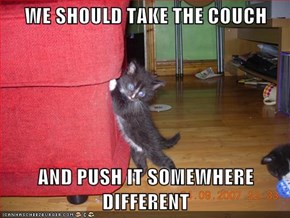 WE SHOULD TAKE THE COUCH