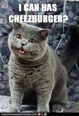 Original ICanHasCheezburger Picture