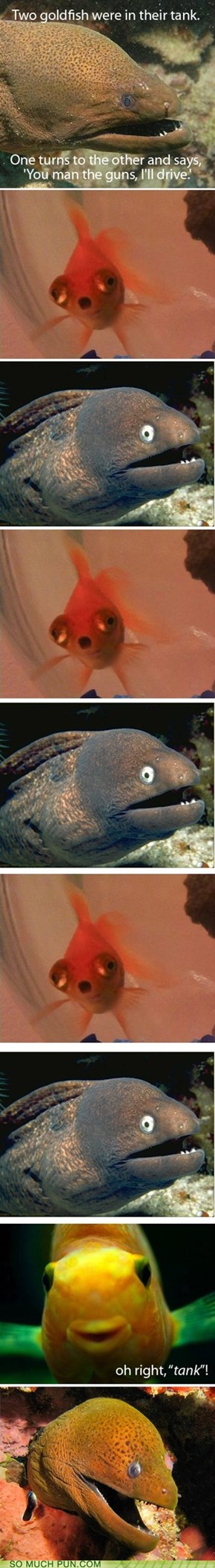 I Sea What You Did There, Bad Joke Eel