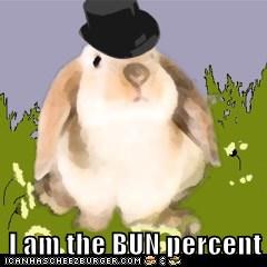 I am the BUN percent