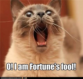 O! I am Fortune's fool!