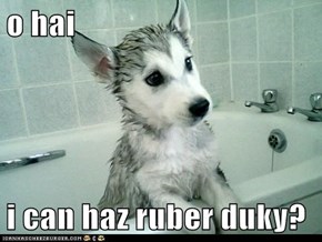 o hai  i can haz ruber duky?