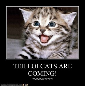 Teh LOLcats Are Coming!  Exciting Cheezburger News!