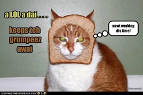 a LOL a dai . . . .