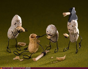 Zombie Nut-pocalypse 