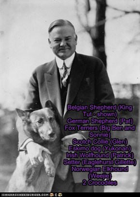 Pets of the US Presidents - Herbert Hoover