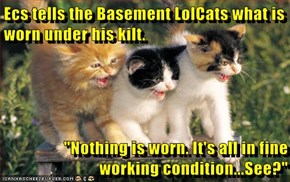 Ecs tells the Basement LolCats what is worn under his kilt.    "Nothing is worn. It's all in fine working condition...See?"