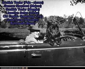 Pets of the US Presidents - Franklin D. Roosevelt