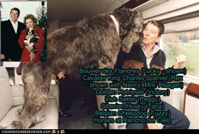 Pets of the US Presidents - Ronald Reagan