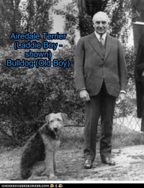 Pets of the US Presidents - Warren G. Harding