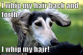 I whip my hair back and forth  I whip my hair!